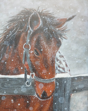 16 - "Horse in Snow" by Beverly Cook - Acrylic - 12"x15 - $150 framed - contact beverlycookjp@gmail.com