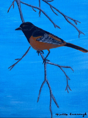 43 - "Baltimore Oriole" by Martha Cavanaugh - Acrylic - 8"x10" - $75  - contact marthasookie@comcast.net