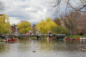 44 - "Boston Public Garden Lagoon Bridge" by Mark Bankoff - Photograph - 18"x12" - $60  - contact mbankoff@comcast.net