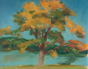 56 - "Changing Colors" by Mary Connor - Pastel - 22'x24" - $200 framed - contact maryiconnor@verizon.net