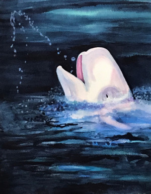 60 - "Beluga Whale" by Maya Jacob - Watercolor - 11"x14" - $400 framed - contact mayamjacob@hotmail.com