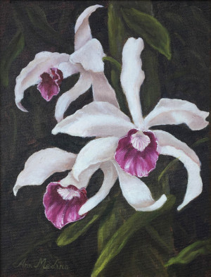 62 - "Hawaiian Orchid" by Ann Medina - Oil - 9"x12" - NFS - contact aemedina4@verizon.net