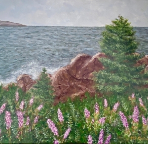 ESinkewicz-Arcadia_National_Park