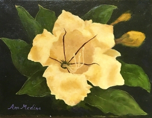 AMedina-Cup_of_Gold