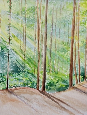 BAaronson-Forest_Light