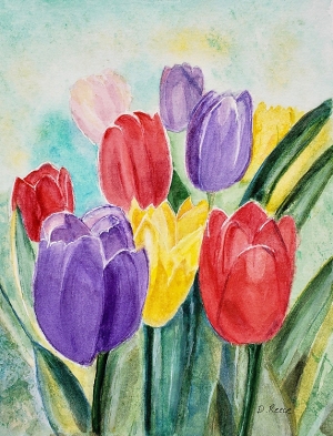 DReece-Tulips
