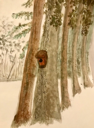 KInglese-Owl_House_at_Reedy_Meadow