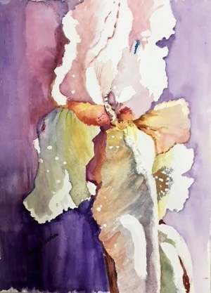 LPellegrino-Bearded_Irises