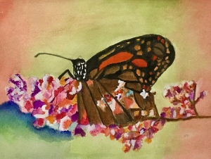 MTrudeau-Butterfly