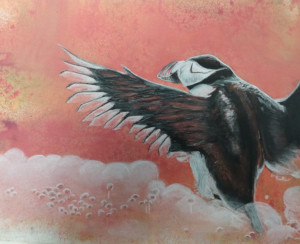 31A. Puffin by Maeve  Mattingly