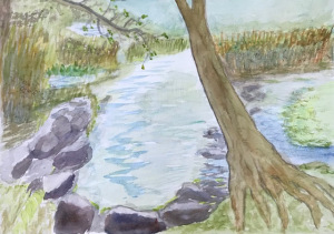 41B. Coolidge Trail, Manchester-by-sea by Kendall Inglese