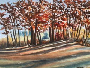 16A. Sunlit Reedy Meadow, Lynnfield by Shaila Desai