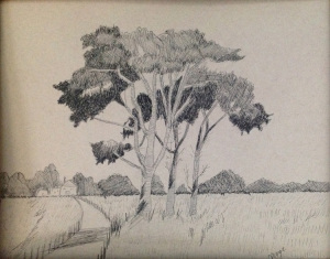 32B. Cluster of Trees in an Open Field by Margaret Chiaraluce