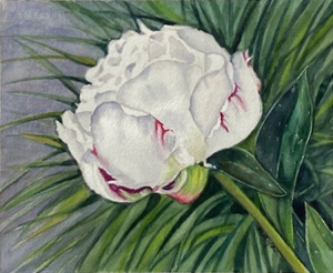 9A. Peony by Maya Jacob