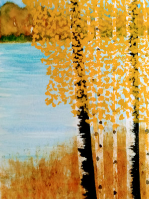 15B. Black Birch by Philip Hermann