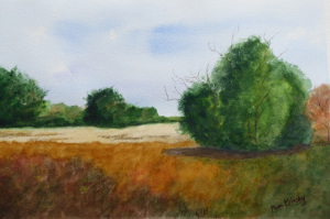 27A. On Reedy Meadow by Pamela Krinsky
