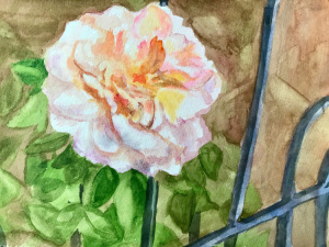 19A. Freiburg Flower by Ruth Clark