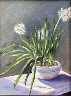 30B. Morning Light by Sheila Falco