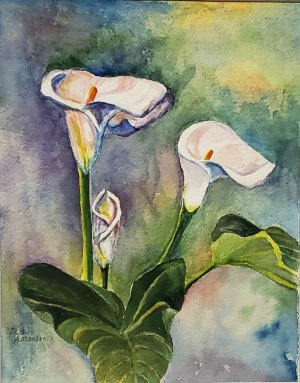 Calla Lily