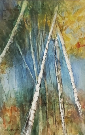 Birch Trees