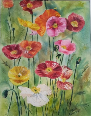 Poppies