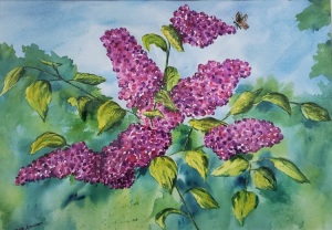 Lilac Season