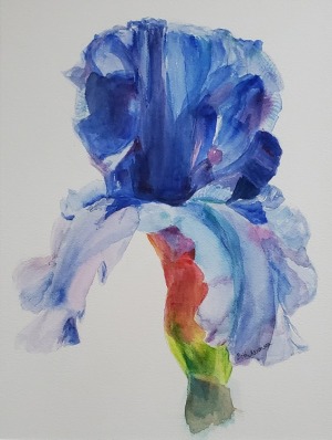 Iris