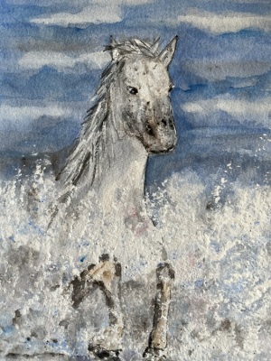 Horse Splash