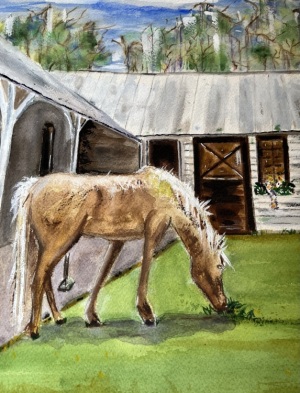 Plantation Palomino