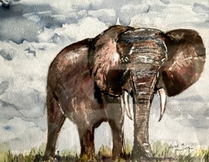 Elephant and Sky