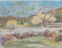 “Arboretum Wetland” 8½” x 11” Pastel