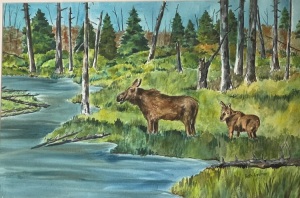Moose Family