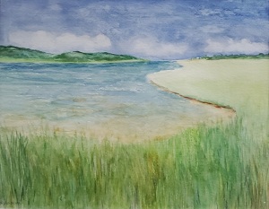 Massachusetts Marsh