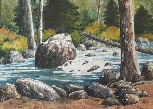 Forest Stream