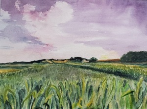 Purple Sky