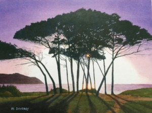 Mariners Pine