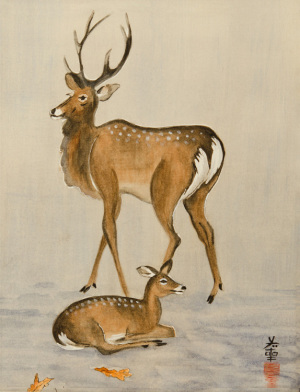 Doe and Fawn
