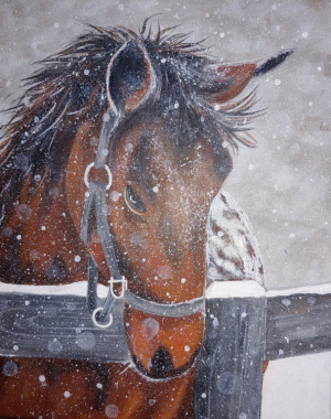 Horse in Snow