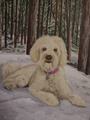 Piper