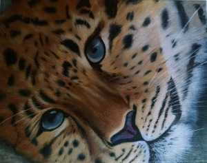 Pretty Kitty