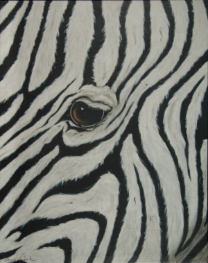 Zebra