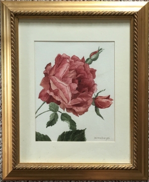 The Rose