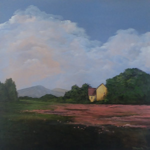 Field Of Flowers