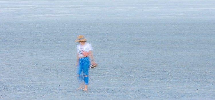 The Beach Comber