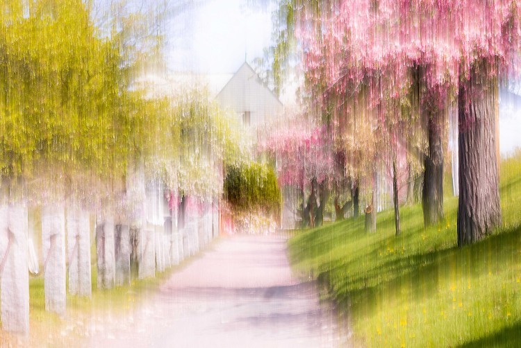 Floral Way Impression