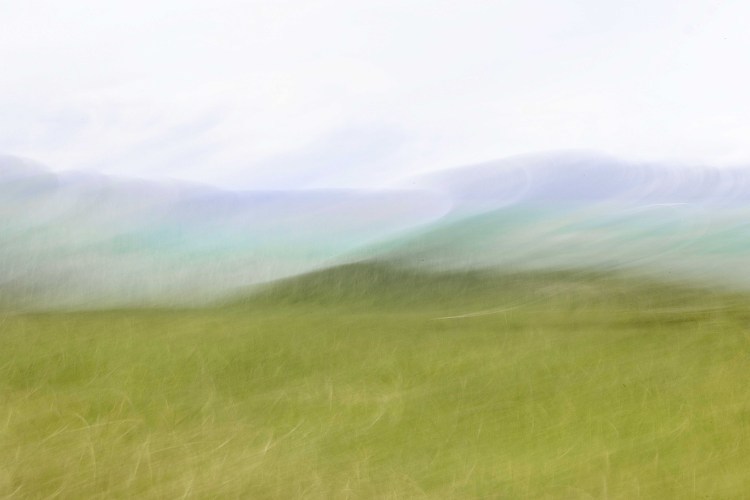 Grassland