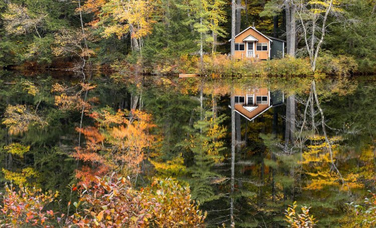 Dream Home