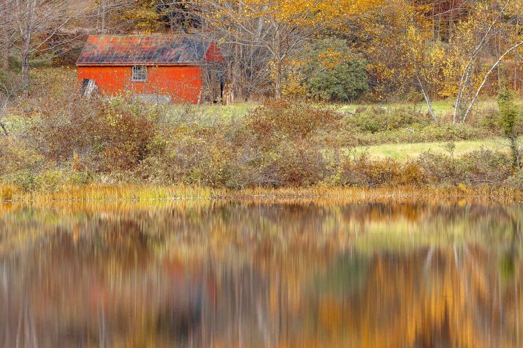 Little Red Shed