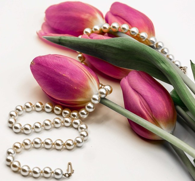 Tulips and Pearls