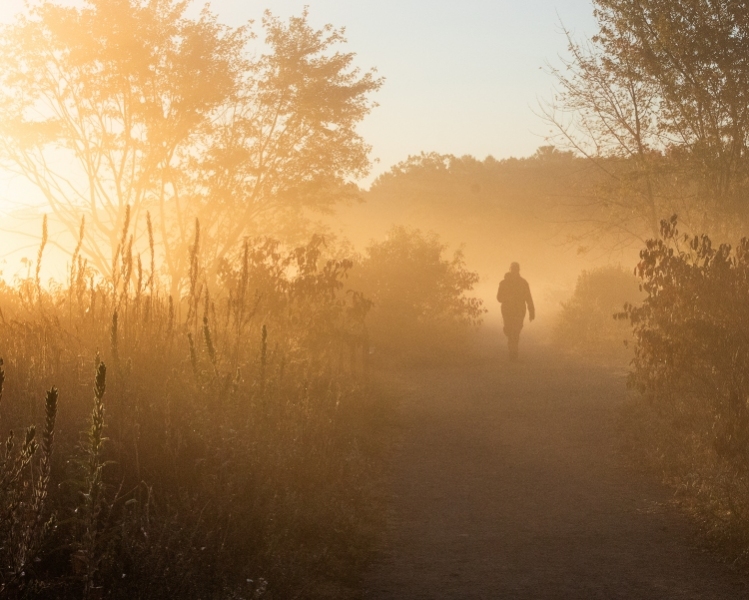 Misty Morning
